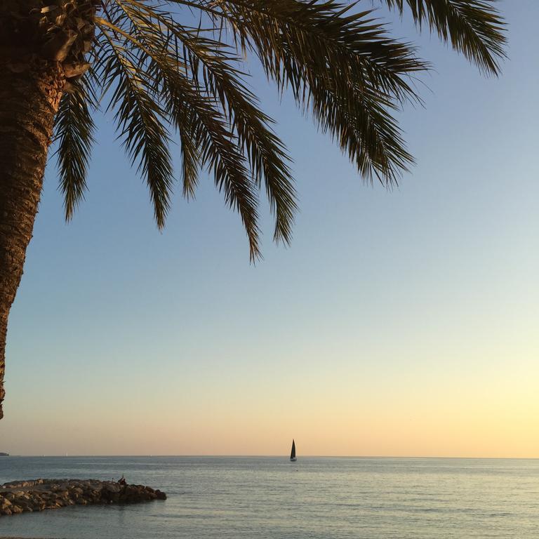 Studio Cosy Merle Cannes Ngoại thất bức ảnh